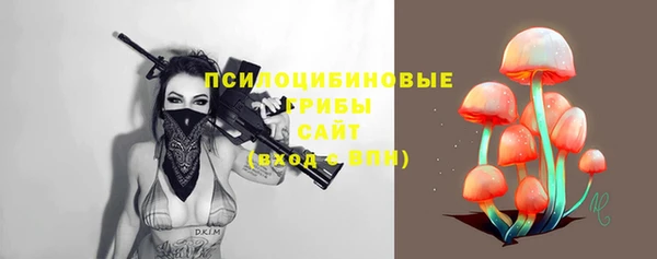 мет Ладушкин