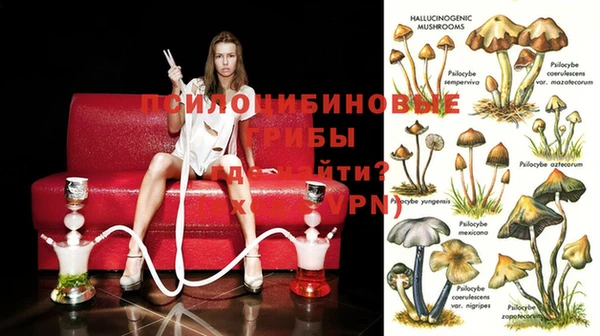 мет Ладушкин